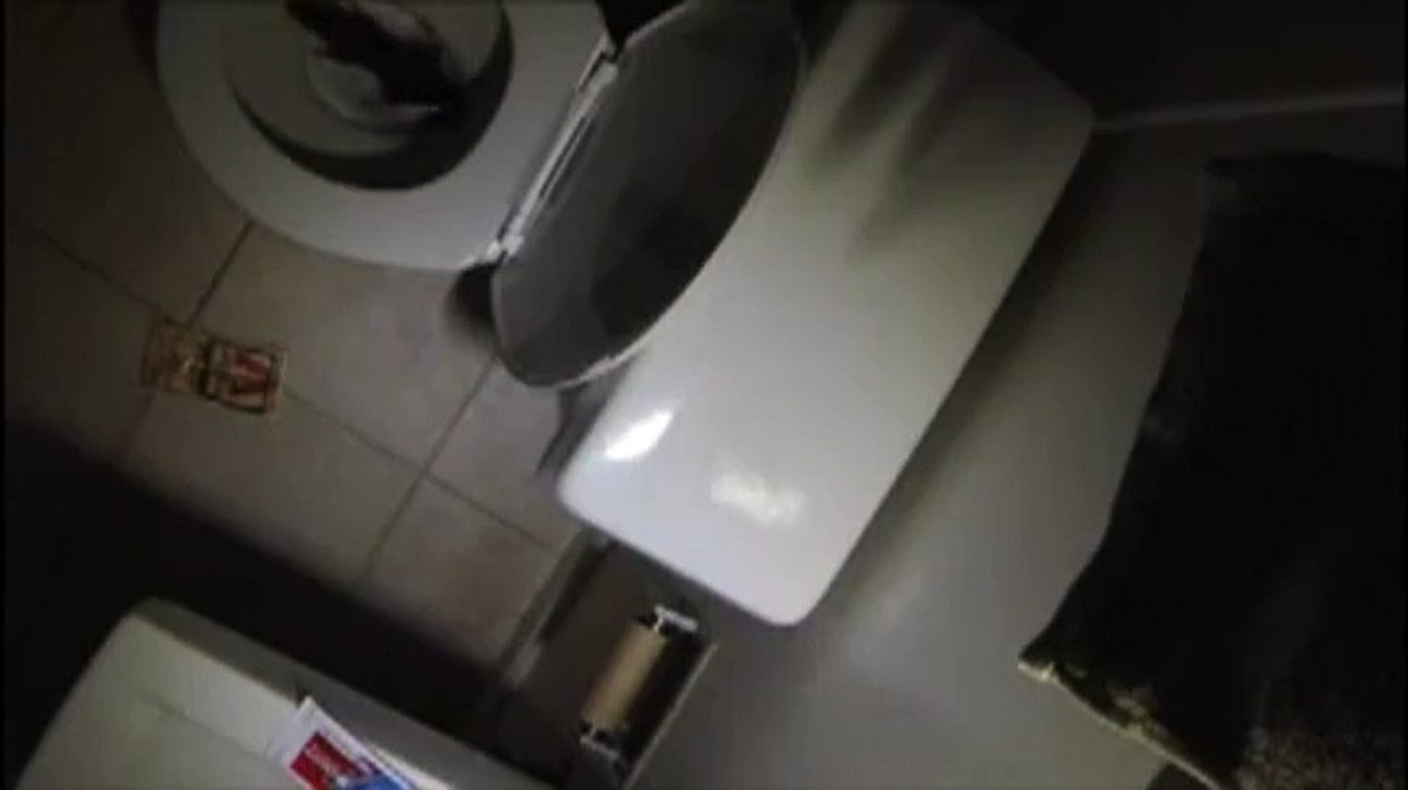 Vous ne devinerez jamais d'où sort ce rat