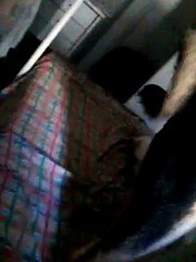 θυλικο σκυλη γαμαει κανονικα ( nala the dog )