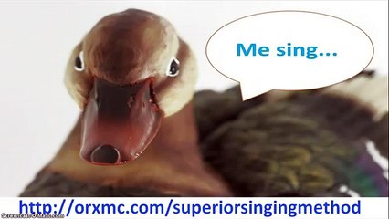 Superior Singing Method + Online Voice Lessons of the Superior Singing Method