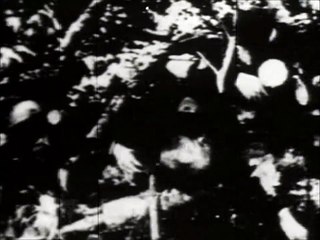 next by deleted, album façade on le label beige