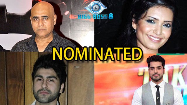 Bigg Boss 8: Who Will Be Eliminated This Week - Karishma , Arya, Puneet Or Gautam
