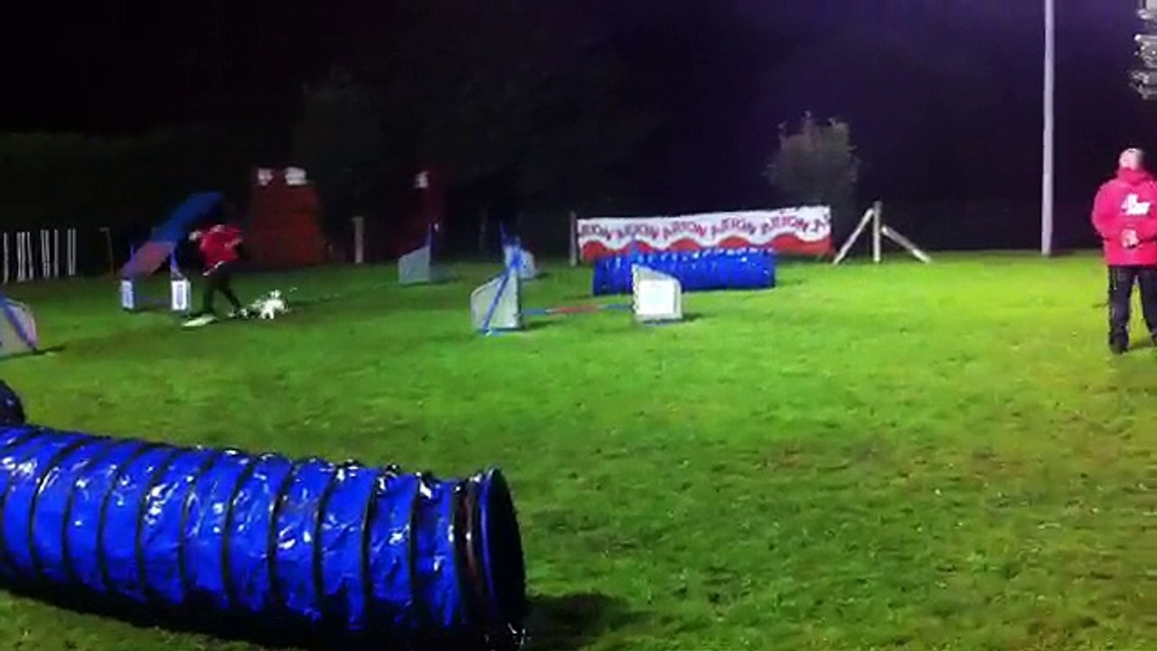 Chris & Berna - MINI Grado 0 - 2ª Manga Prueba Agility RSCE [Sábado 08-11-2014 - Rais - Teo]