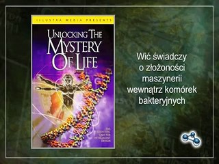 Projekt Prawda (05) - (część 2) Gdzie leży prawda