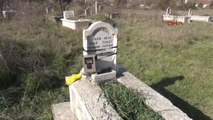 Kastamonu Mezar Açmaya Çalışan Ayı İçin Fotokapan Kuruldu
