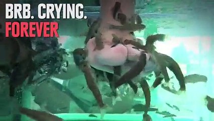 Can You Make It's Through This Without Puking-