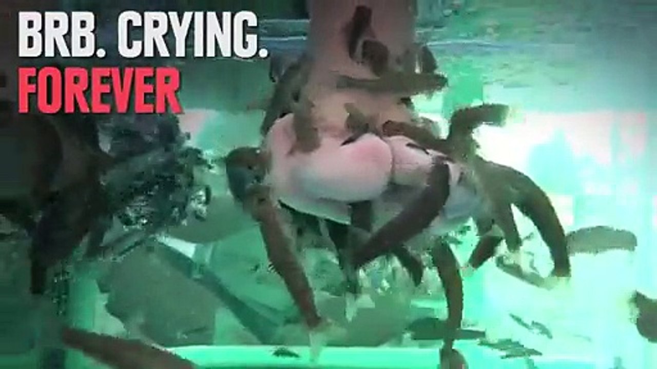 Can You Make It's Through This Without Puking-