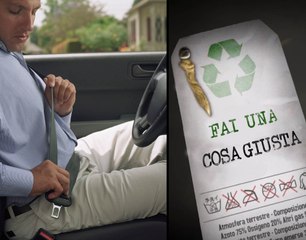 allaccia la cintura di sicurezza | FAI UNA COSA GIUSTA