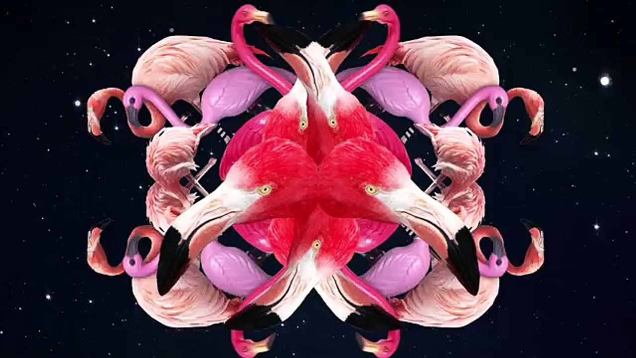 Facts That Sound Like Huge Lies