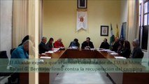 Situación Actual Camping San fernando_Pleno Ord 10-11-14