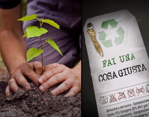 pianta un albero | FAI UNA COSA GIUSTA