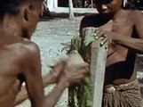 Anthro-biological mission in East Timor (part 8), 1953