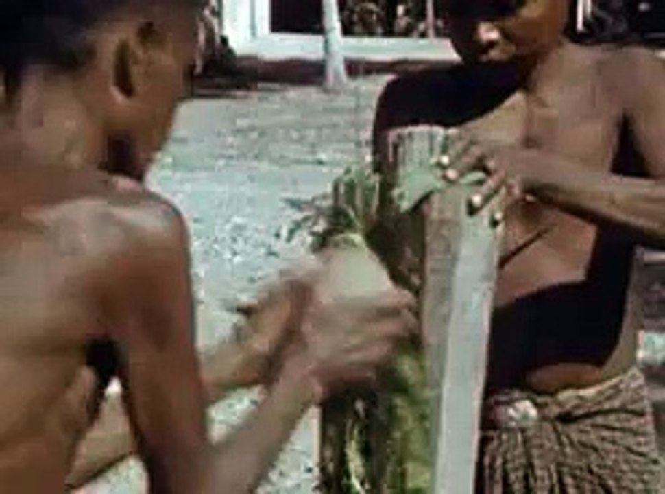 Anthro-biological mission in East Timor (part 8), 1953