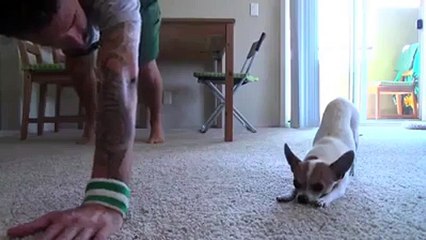 Yoga Time with a Cute Dog