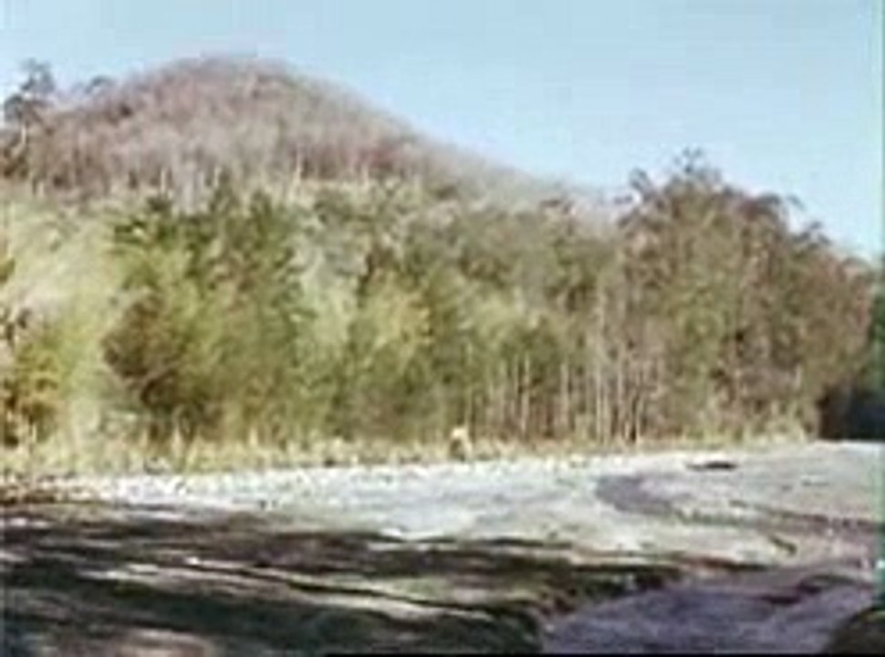 Timor: Hunting and fishing, 1953