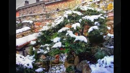 Recopilacion de fotos(color) de EL MOLAR(MADRID)volumen:1