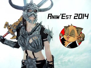 Cosplay Anim'Est 2014