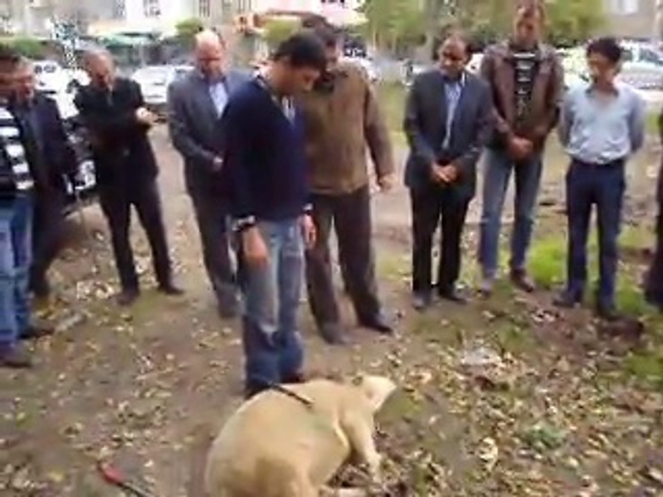 Söz verdi sözünü tutuyor…