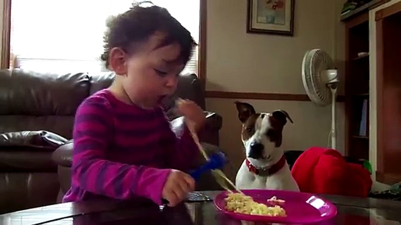 [+18 ~ Sexy Funny Girl]Cute Dogs And Adorable Babies II Compilation