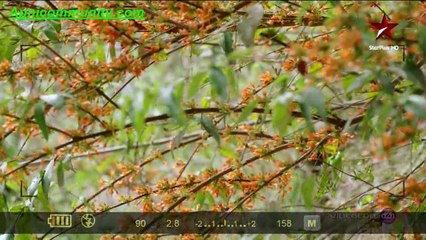 EVERREST-11 Nov-2014 pt1-www.Apnicommunity.com