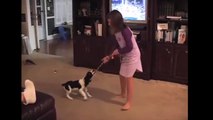 [ 18 ~ Sexy Funny Girl]Amazing Spinning Dog Trick