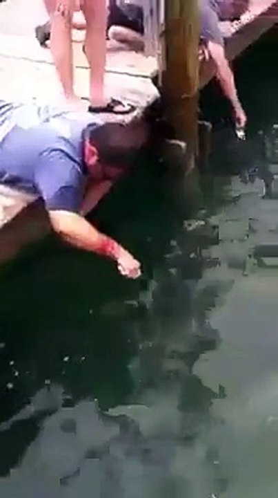 Funny Videos