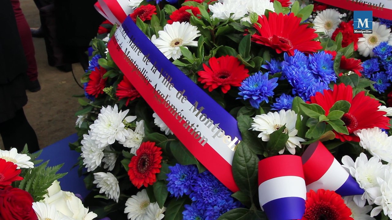 Commémoration 2014 de l'Armistice de 1918 à Montpellier