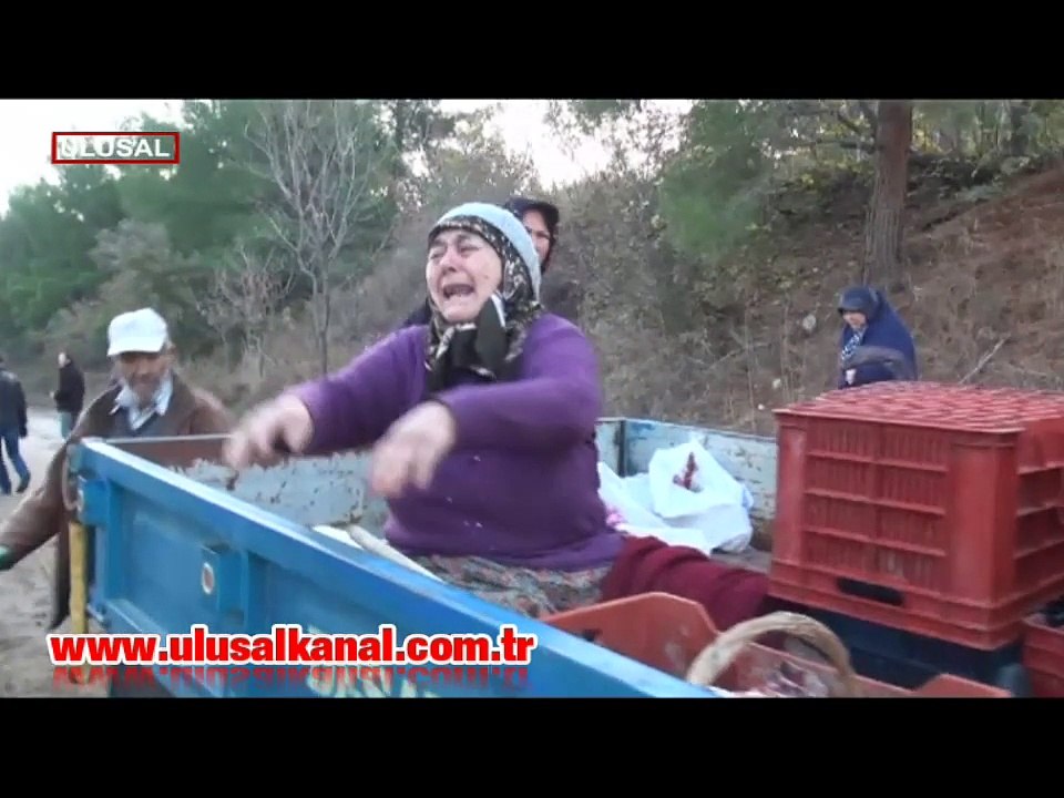 Ziraat Mühendisleri Odası  İstanbul Şube Başkanı  Ulusal Kanal’a konuştu