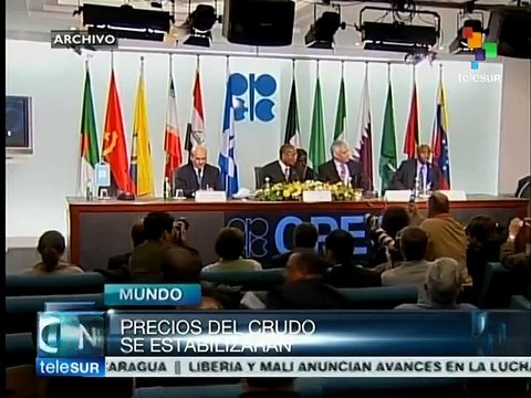Productores y consumidores satisfechos con precios del crudo: OPEP