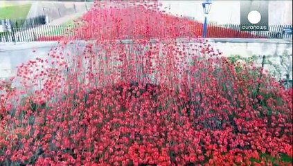Angleterre, France, Belgique: l'hommage aux morts de la Grande Guerre