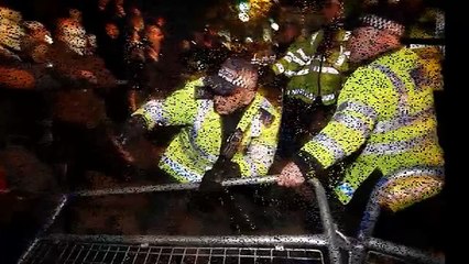 'Revolutionary' Russell Brand leaves Buckingham Palace demonstrations early to join celebrity party