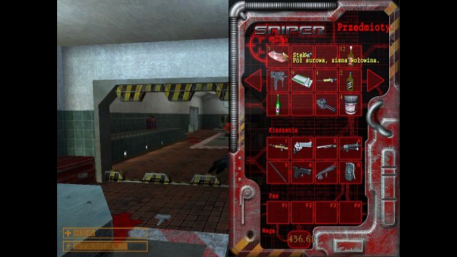 Zagrajmy w: Snajper: Path of Vengeance cz. 9/9 [END]