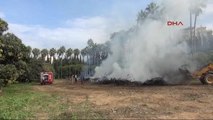 Antalya Narenciye'de Yakılan Temizlik Ateşi Korkuttu
