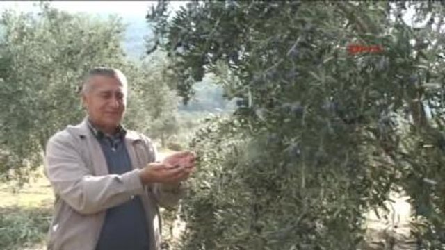 Manisa Soma Yırca Köyü Muhtarı Konuştu-2