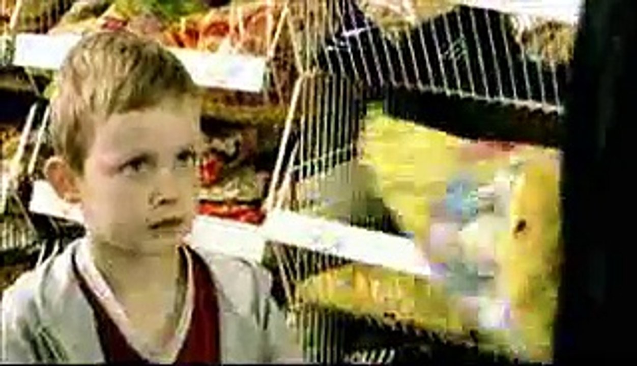 Pub Zazoo (Enfant)