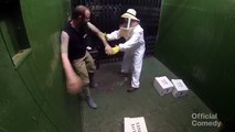 Caméra cachée : il monte dans un ascenseur avec des abeilles et fait une grosse bêtise !
