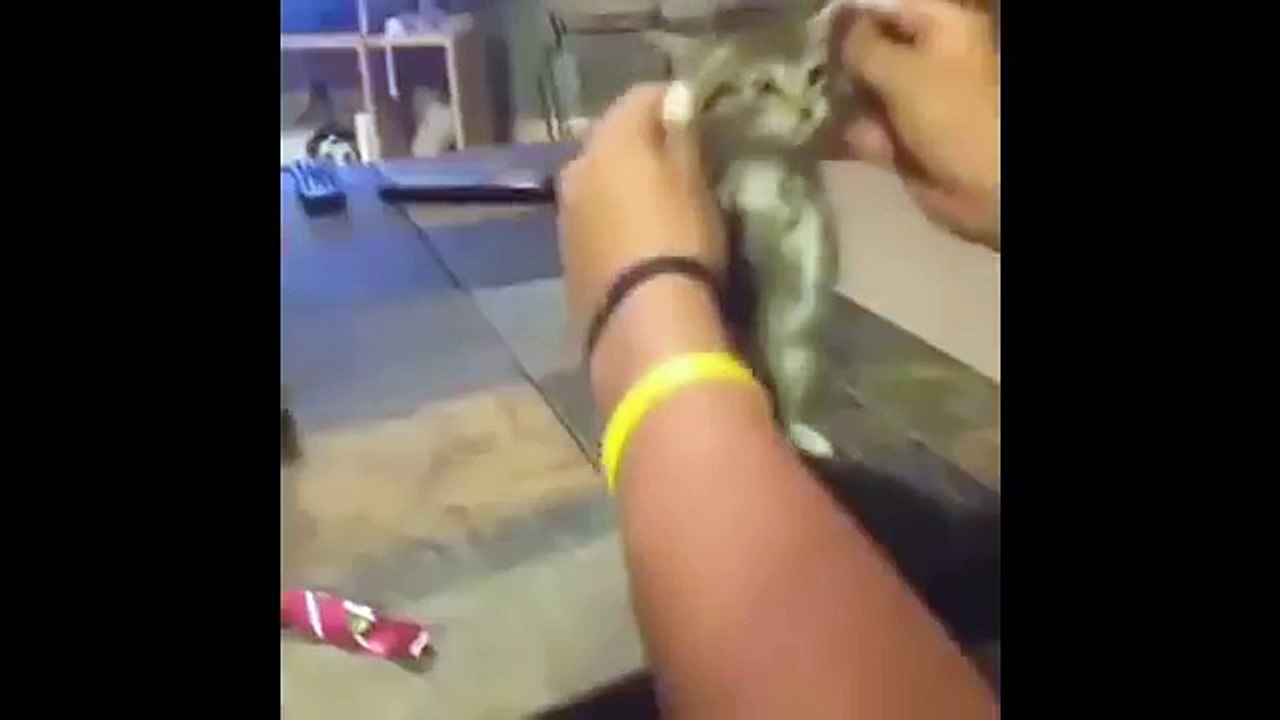 [+18 ~ Sexy Funny Girl]Pranks - Gags - Win - Fail.239