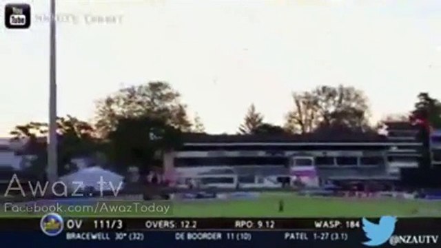 Unbelievable Cricket Crowd Catch - Spectator Wins $5000 - YouTube