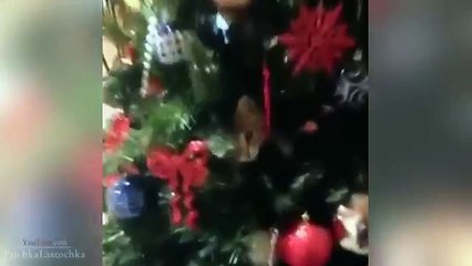 [+18 ~ Sexy Funny Girl]Pranks - Gags - Win - Fail.9