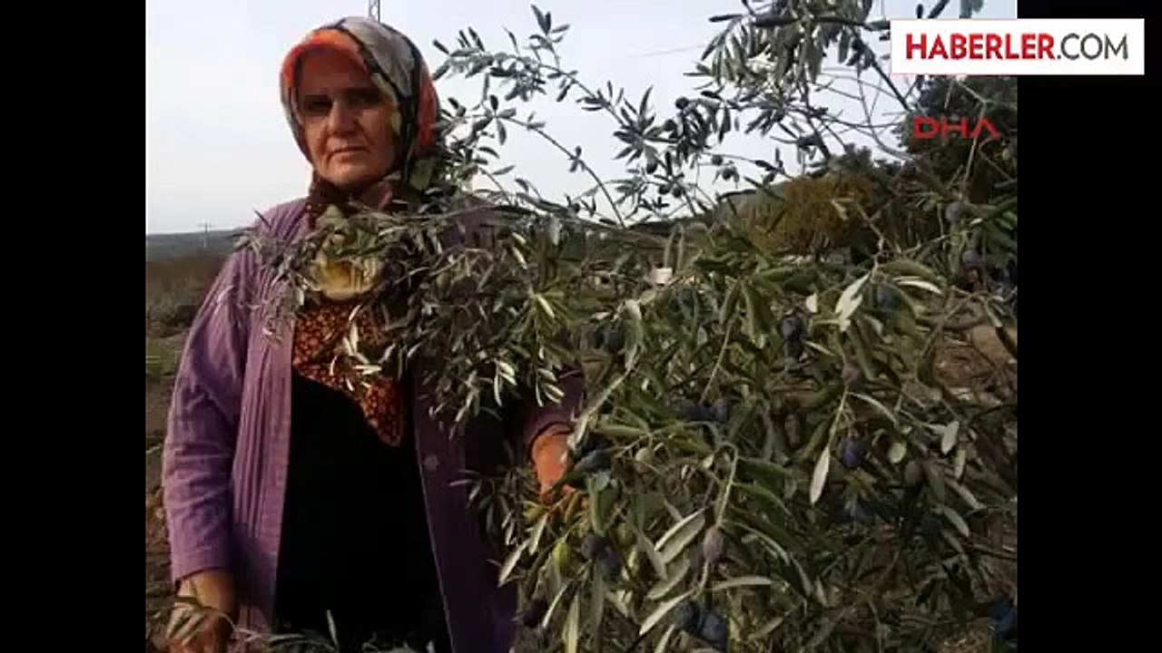 Manisa Yırcalılar Şimdi De, Darp, Mukavemet Suç...