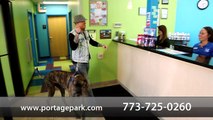 Welcome to Portage Park Animal Hospital & Dental Clinic
