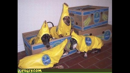 Fruitarian Girl Defrosts Bananas In Winter..