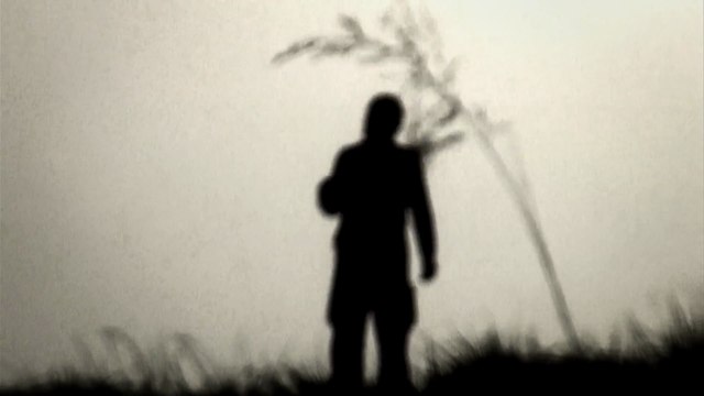 Chimpanzés - Making Of (2) VOST