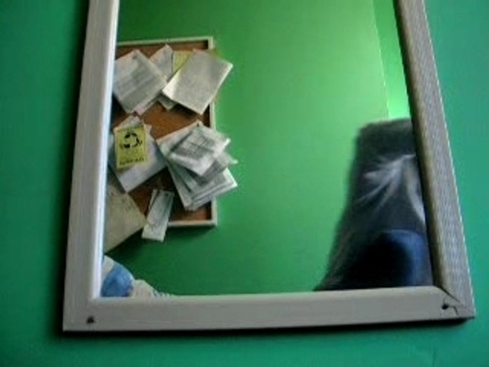 Through the mirror