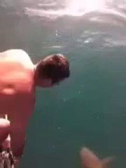 Köpek balığının  üstüne atlayan adam