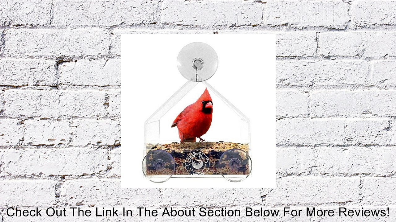 Grateful Gnome - Window Bird Feeder - Clear Acrylic House for Small or Large Wild Bird Like Finch and Cardinal - Best Cheap Modern Unique and Unusual Window Bird Feeder Out There - Cool (Virtually Squirrel Proof) Platform Tray Station for Backyard Window.