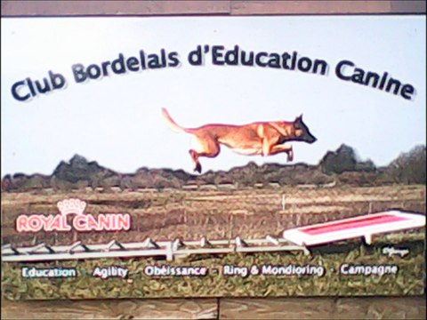 Concours Campagne du Club Bordelais des 31 janvier et 1er février 2015