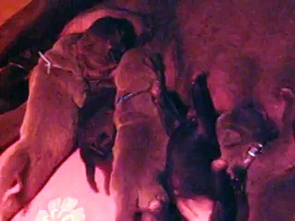 l'heureuse  heureuse de la tétée du matin