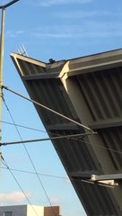 Un homme accroché à un pont mobile tient bon jusqu'au bout!