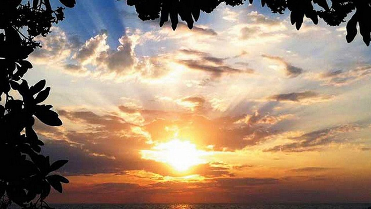 Laser Hair Removal - Dr. David K. Hiranaka