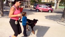 Dressage canin la ciotat13,complicité entre le chien et l'enfant